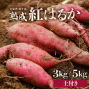 【ふるさと納税】【先行予約】大谷原の熟成さつまいも (土付き) 【選べる内容量:3kg / 5kg】【2025年10月下旬以降順次発送予定】【入手困難・数量限定】【サツマイモ 芋 イモ 紅はるか べにはるか 熟成 甘い おいしい 国産 産地直送】