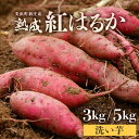 【ふるさと納税】【先行予約】大谷原の熟成さつまいも (洗い芋) 【選べる内容量:3kg / 5kg】【2025年10月下旬以降順次発送予定】【入手困難・数量限定】【サツマイモ 芋 イモ 紅はるか べにはるか 熟成 甘い おいしい 国産 産地直送】
