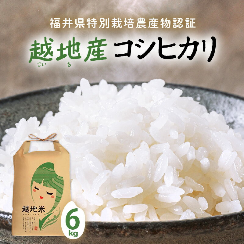 26位! 口コミ数「0件」評価「0」令和5年 米 越地（こいち）産 特別栽培 コシヒカリ 6kg × 1袋 [m24-a001]