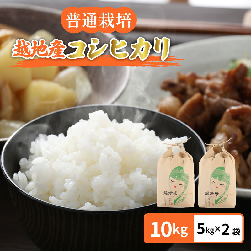 令和5年 米 越地（こいち）産 コシヒカリ（普通栽培） 計10kg（5kg × 2袋） [m24-a002]