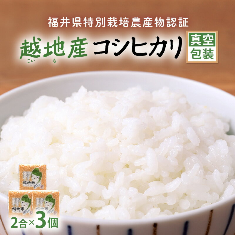 令和5年産 米 越地（こいち）産 特別栽培米 コシヒカリ 真空包装 2合 × 3個 