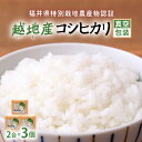 米 越地（こいち）産 特別栽培米 コシヒカリ 真空包装 2合 × 3個 