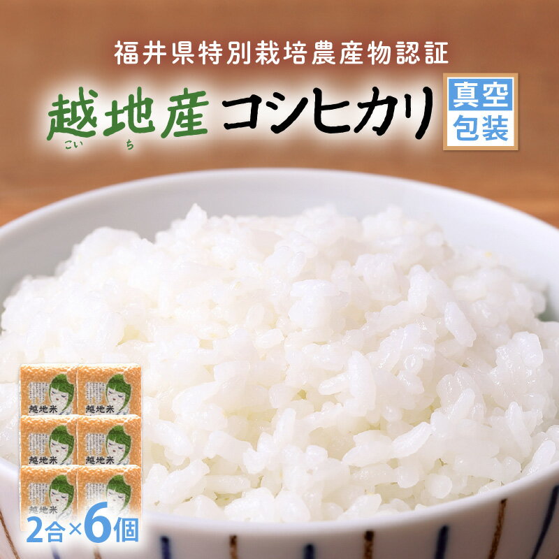 令和5年 米 越地（こいち）産 特別栽培米 コシヒカリ 真空包装 2合 × 6個【キャンプ 保存 備蓄 防災】 [m24-a004]