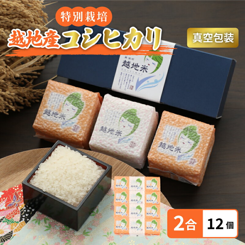 令和5年 米 越地（こいち）産 特別栽培米 コシヒカリ 真空包装 2合 × 12個 【キャンプ 保存 備蓄 防災】[m24-b002]