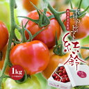 福井県美浜町産 若狭のミディトマト『紅い鈴』約1kg（バラ箱詰め） 