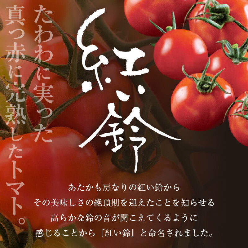 【ふるさと納税】【期間限定】福井県美浜町産 若狭のミディトマト『紅い鈴』合計約2.3kg（キューブ9個セット）【2024年6月上旬まで発送】【産地直送 ミディ とまと 甘い 完熟 水耕栽培 お弁当 コンクール受賞 サラダ スープ パスタ おやつ 野菜嫌いの方にも】 [m37-a006]