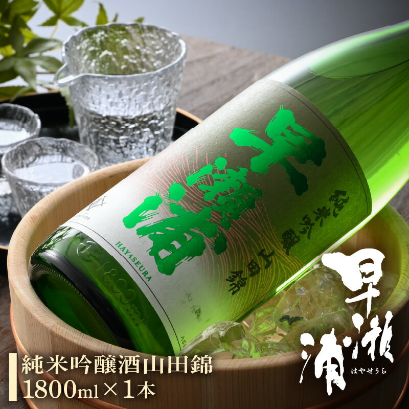 【ふるさと納税】若狭の地酒 「早瀬浦」純米吟醸酒山田錦 1800ml × 1本【入手困難 日本酒 就職祝い 転職祝い ハレの日 ギフト プレゼント お祝い お返し お礼 お中元 お歳暮 父の日 敬老の日 】 [m06-a002]のサムネイル