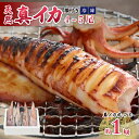 【ふるさと納税】【期間限定】新鮮・朝獲れ! 墨付き 天然 真イカ(剣先イカ)丸ごと 約1,000g(4〜5尾) たまり醤油と刺身専用しおり付き【ケンサキイカ マ...