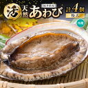 【ふるさと納税】天然!活アワビ 特大 オガイ・メガイ 各2個 計4個 セット 入手困難 鮮度抜群 刺身 お造り バター焼き BBQ あわび 鮑 [m21-o00...