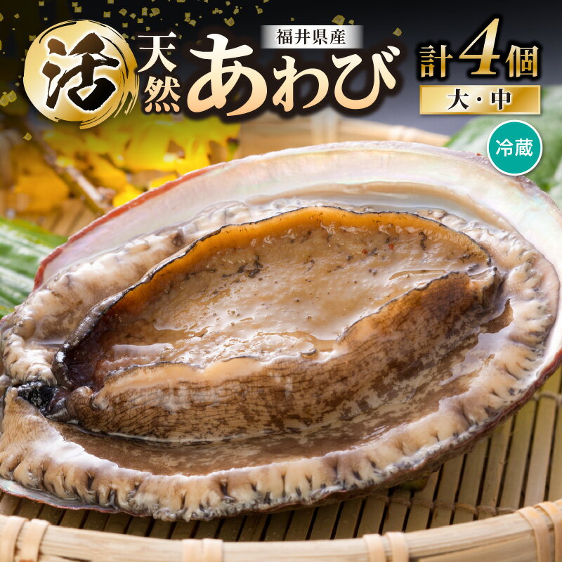 ڤդ뤵Ǽǡۡڴָŷ襢 楪ᥬ å 4 꺤 ȴ ɿ ¤ ХƤ  [m...