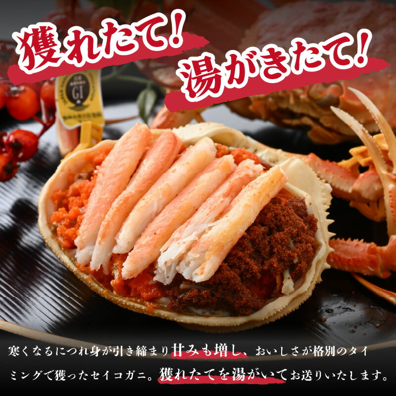 【ふるさと納税】【先行予約】【冷凍】冬の味覚 旬のセイコガニ 中サイズ × 6匹 計800g以上 食べ方カラー説明書付き 全て地物！天然！ズワイガニメス【2025年11月上旬以降順次発送予定】 [m21-c015]