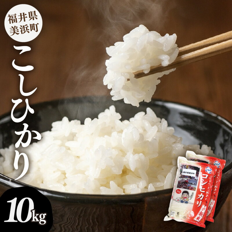 【先行予約】【令和6年産・新米】 米 コシヒカリ 計10kg （5kg × 2袋）精米 福井県美浜町産 【2024年9月下旬発送予定】 [m60-a014]