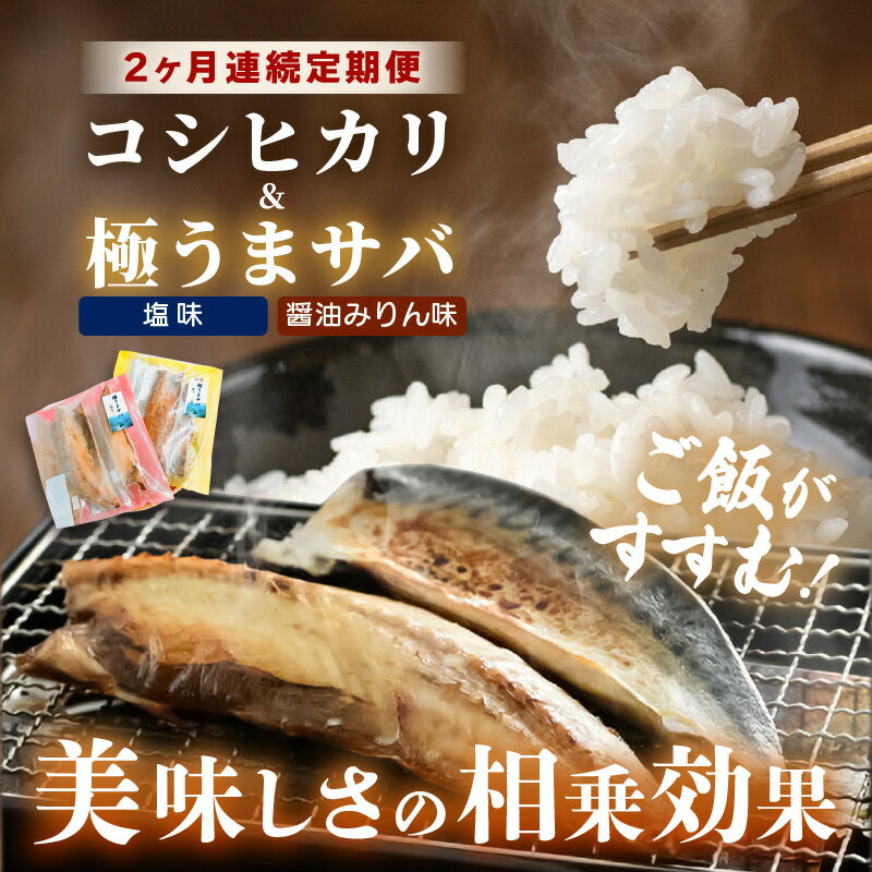 【ふるさと納税】定期便≪2ヶ月連続お届け≫ 米 令和5年産 コシヒカリ5kg と 天然さば干物「極うまサバ」塩味 醤油みりん味 半身3パック食べ比べセット 【精米】【福井県美浜町産米】 [m60-a005]