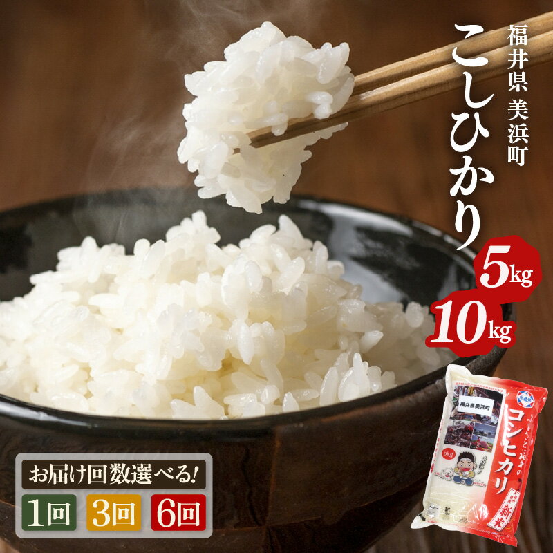 【ふるさと納税】【令和7年産・新米】高レビュー 人気 米 コシヒカリ 選べる 5kg 10kg 定期便 発送月 精米 福井県 美浜町産 特A 白米 こめ コメ お米 おこめ こしひかり 5キロ 10キロ 定期 高評価 おすすめ