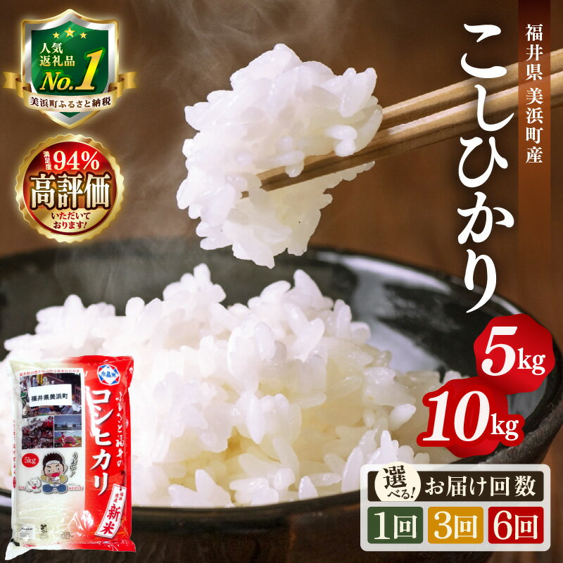 2位! 口コミ数「92件」評価「4.66」【令和7年産・新米】高レビュー 人気 米 コシヒカリ 選べる 5kg 10kg 定期便 発送月 精米 福井県 美浜町産 特A 白米 こめ コメ お米 おこめ こしひかり 5キロ 10キロ 定期 高評価･･･ 