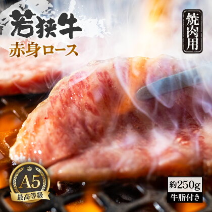 肉 A5若狭牛 赤身ロース 焼肉用 約250g 牛脂付き 黒毛 和牛 黒毛和種【ブランド 和牛 わかさ 福井 焼き肉 スライス 冷凍 アウトドア キャンプ バーベキュー BBQ お家焼肉 家飲み ご褒美 贅沢】 [m54-a001]