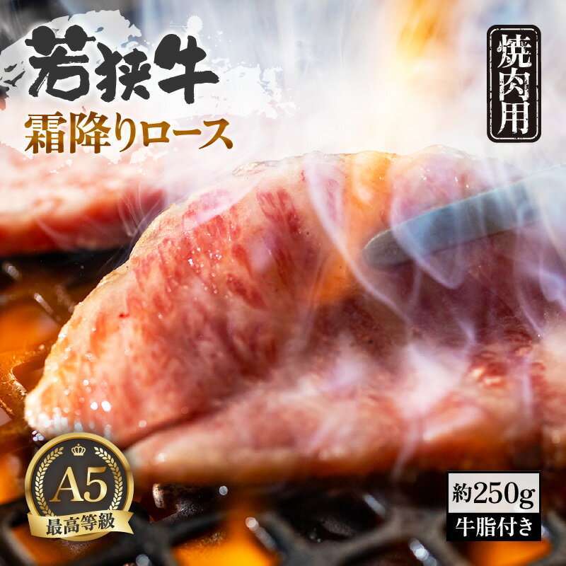 【ふるさと納税】肉 A5若狭牛 霜降りロース 焼肉用 約250g 牛脂付き 黒毛 和牛 黒毛和種 【ブランド 和牛 わかさ 福井 焼き肉 しもふり スライス 冷凍 アウトドア キャンプ バーベキュー BBQ …