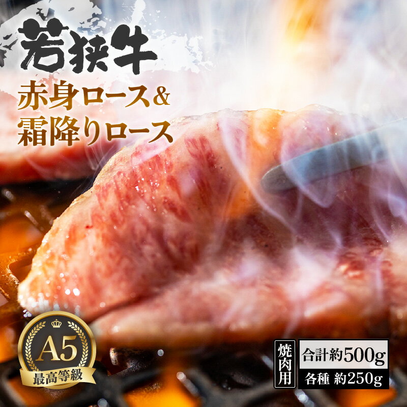 肉 A5若狭牛 赤身 霜降りロース 食べ比べセット 各約250g（計約500g） 焼肉用 牛脂付き 黒毛 和牛 黒毛和種  