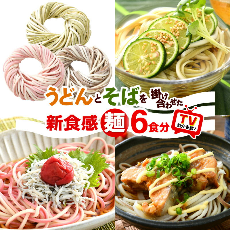 全国お取り寄せグルメ福井麺類No.16