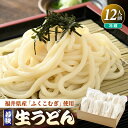 【ふるさと納税】福井県産「ふく小麦」使用 若狭 生うどん 1.8kg(150g×12玉)もっちり コシ のど越しツルツル 手打ち 生 麺類 釜揚げ 簡単調理 離乳食 年越し 父の日 プレゼント 子供の日 お礼 敬老の日 美味しいうどん お中元 お歳暮 送料無料 大容量