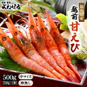 【ふるさと納税】【先行予約】天然!越前甘エビ(卵なし)中サイズ 500g × 1箱(約35尾入り)【2025年7月より順次発送予定】数量限定 解凍方法説明書付き...