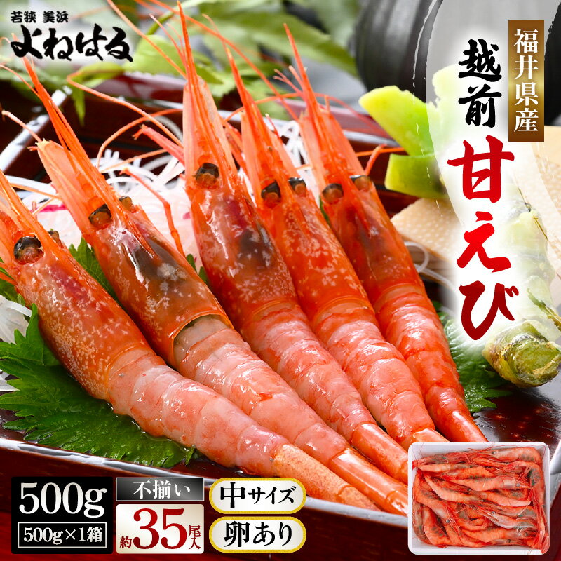 天然!越前甘えび(卵あり)中サイズ 500g × 1箱(約35尾入り)[不揃い]訳あり 数量限定 解凍方法説明書付き 酸化防止剤不使用!えび エビ 海老 甘エビ 甘えび 人気 海鮮 お刺身 魚介 無添加 冷凍 福井県産 楽天スーパーSALE [m17-a061]