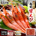 《 母の日 ギフト 》【ふるさと納税】お世話になったあの方へ☆【のし付き】天然!越前甘エビ【大サイズ・卵あり】500g/1箱【配送不可地域:離島】 [m17-a...