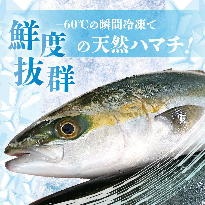 【ふるさと納税】訳あり 若狭湾の天然 ハマチ (ブリ 幼魚) 約450g (6~8切×1袋) 塩焼き 煮つけ用 下処理済み！ブツ切り 生冷凍！だから人気！ 【ハマチ はまち ぶつ切り 切身 塩焼き 骨付き ブリ大根 煮物 カマ】