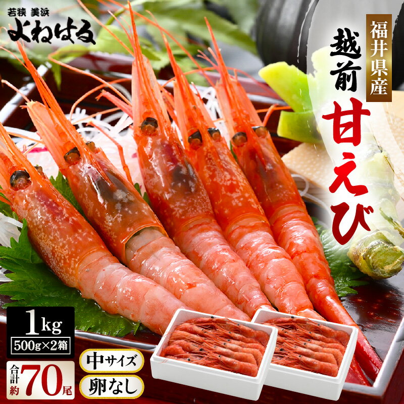 【ふるさと納税】大好評!よねはるお薦めの越前甘えび (卵なし) 中サイズ 計約1kg (約500g × 2箱)でお届けします! 【 えび エビ 海老 甘エビ 甘えび 海鮮 お刺身 魚介 無添加 冷凍 福井県産】 [m17-b011]