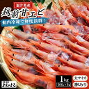 《 母の日 ギフト 》【ふるさと納税】大好評!天然 越前甘エビ(卵あり)大サイズ 計約1kg(約500g × 2箱)(合計約60尾入り) 解凍方法説明書付き 酸...