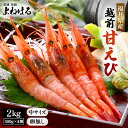 【ふるさと納税】天然 越前甘えび (卵なし) 中サイズ計2kg (500g × 4箱) (合計約140尾入り) 解凍方法説明書付き 酸化防止剤不使用!【えび エビ 海老 甘エビ 甘えび 海鮮 お刺身 魚介 無添加 冷凍 福井県産】