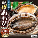 《 母の日 ギフト 》【ふるさと納税】期間限定 ≪おまかせ≫ 日本海若狭湾の 天然 活アワビ 計600g 鮮度抜群 刺身 お造り バター焼き BBQ あわび 鮑...