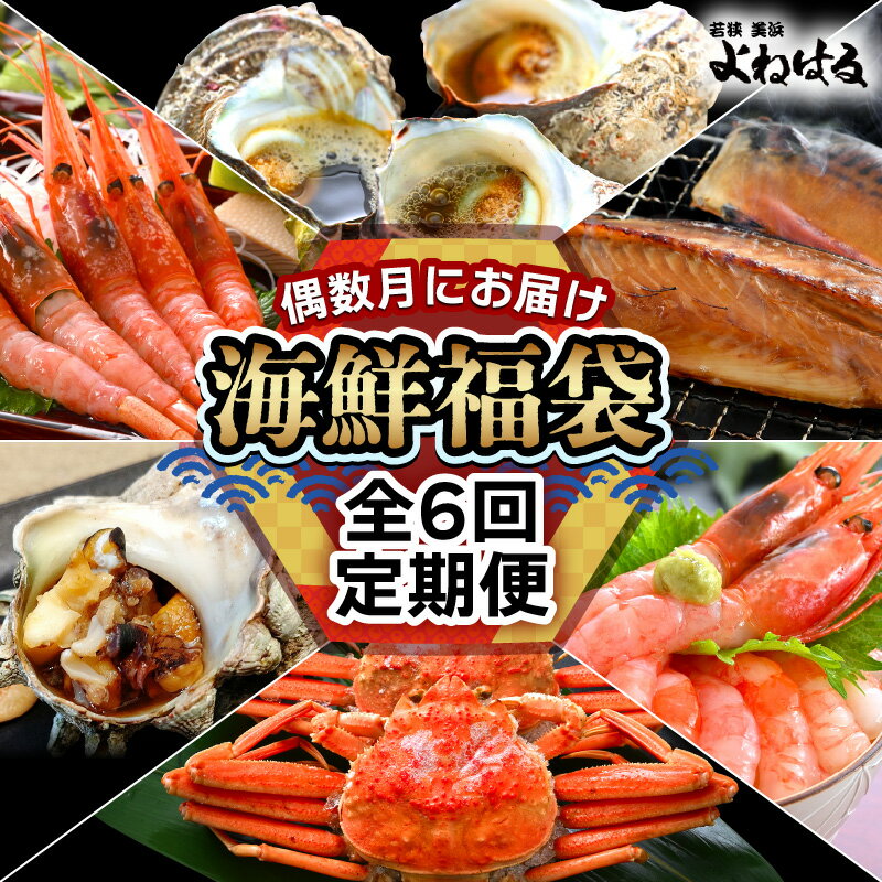【ふるさと納税】定期便 ≪年6回お届け≫ 海鮮定期便 偶数月にお届け 海鮮福袋 【産地直送 甘えび 甘海老 アマエビ サザエ さざえ セイコガニ かに 蟹 サバ 鯖 海の幸 貝 甲殻類 海鮮 魚介 酒の肴 つまみ 絶品 冷凍 福井】お買い物マラソン 買い回り [m17-g005]のサムネイル