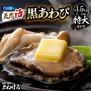 【ふるさと納税】天然 活黒アワビ 計1.5kg (2〜5個) 特大サイズ 入手困難 日本海若狭湾 鮮度抜群 刺身 お造り バター焼き BBQ あわび アワビ 鮑...