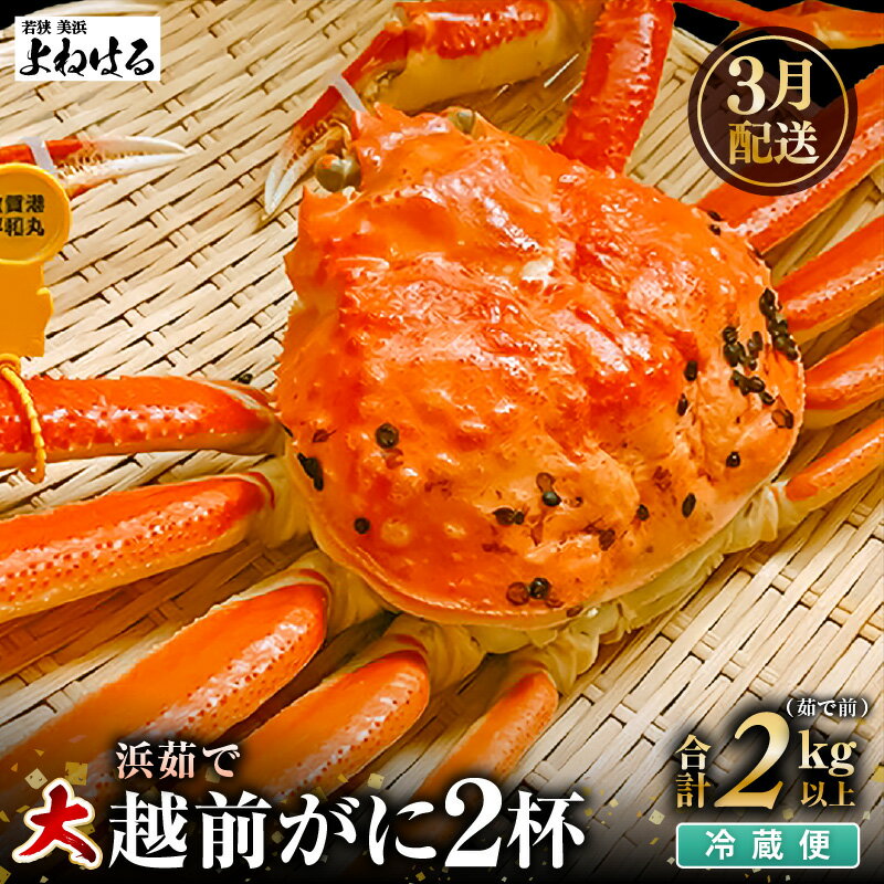 【ふるさと納税】【先行予約】≪浜茹で≫ 天然 越前がに 大サイズ (茹で前約1kg) × 2杯 冷蔵 届いてすぐお召し上がりいただけます! タグ付 福井を代表す...