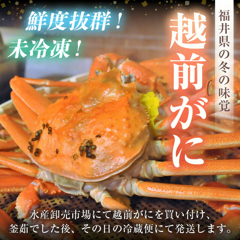 【ふるさと納税】【先行予約】天然 越前がに 特大 (茹で前1.1〜1.3kg) × 1杯 冷蔵 ボイル済 届いてすぐお召し上がり可能！ タグ付 福井を代表する冬の味覚！【2025年11月中旬以降順次発送予定】【 越前ガニ 越前蟹 かに ずわい ズワイ 福井】