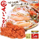 【ふるさと納税】【先行予約】天然 せいこがに × 5杯 (1杯約170g) 茹でたその日に発送! 【2025年11月中旬以降順次発送予定】【冷蔵 本場の味 ボイル 越前ガニ 蟹 茹で セイコガニ ずわいがに ズワイガニ】(4)