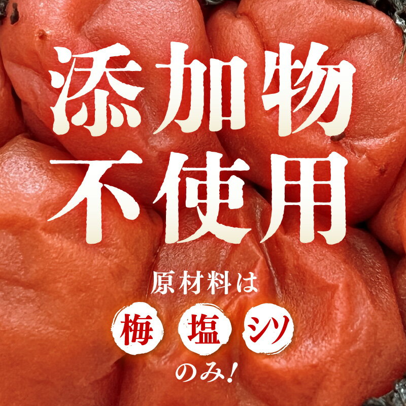 【ふるさと納税】福井梅干しAセット(約300g×2個) [m20-a007]