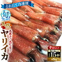 【ふるさと納税】旬真っ盛りの 天然 ヤリイカ 約1kg(約15尾)とれたて冷凍便 丸焼き丸かぶり!イカ いか ケンサキイカ 剣先イカ 海鮮 刺身 下処理済み 冷...
