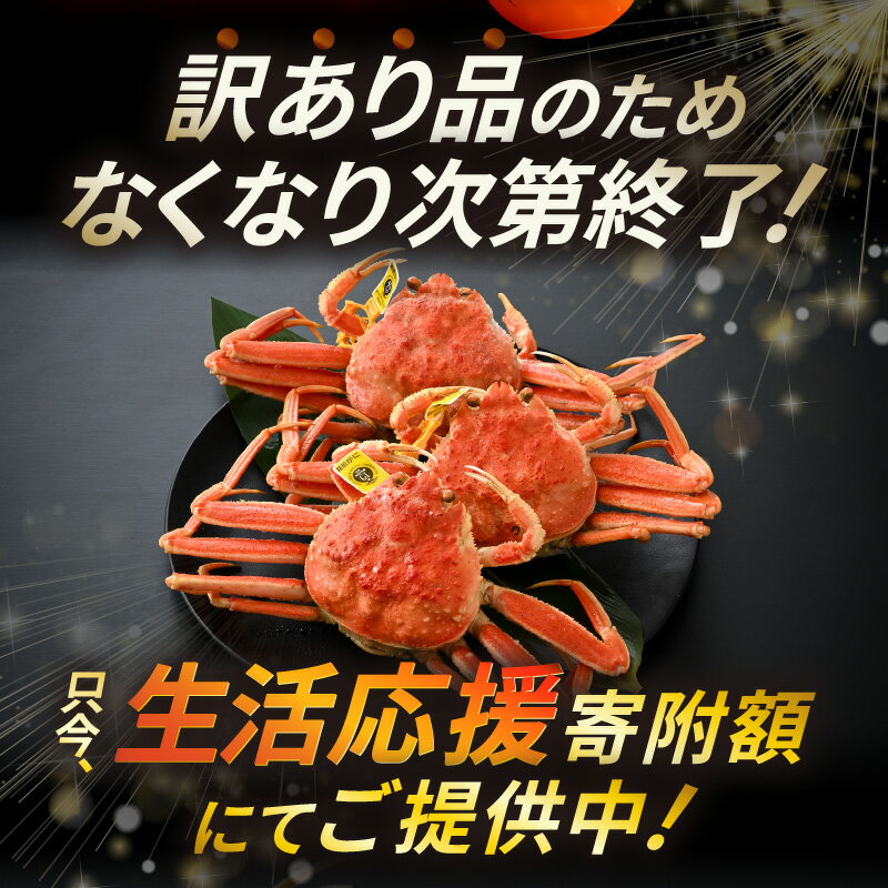 福井県美浜町の画像3