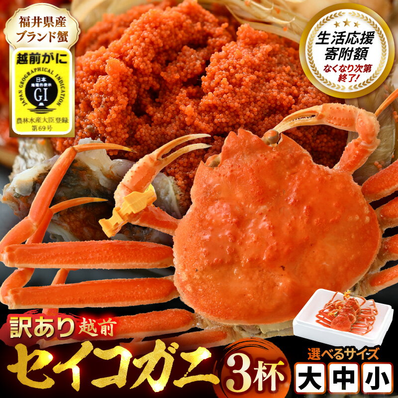 福井県美浜町の画像2