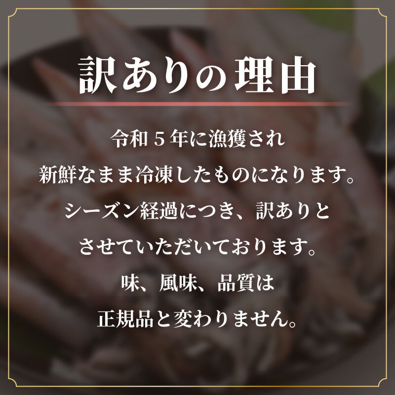 【ふるさと納税】【訳あり】【数量限定！】新鮮・朝獲れ！ 墨付き 天然 真イカ（剣先イカ）丸ごと 約1,000g たまり醤油と刺身専用しおり付き 【1kg いか イカ 剣先いか 海鮮 魚介 魚介類 海の幸 フードロス】