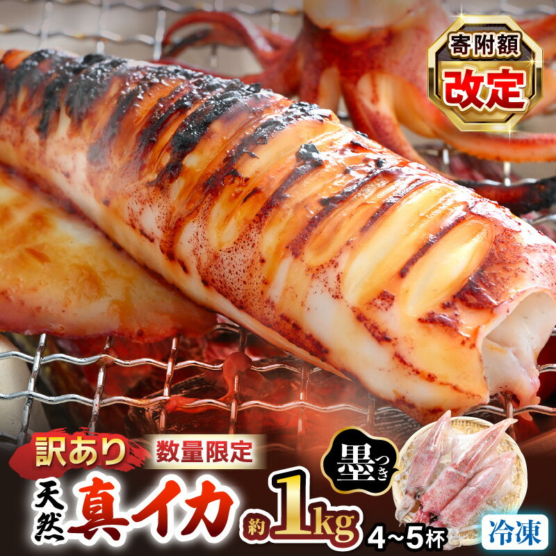【ふるさと納税】【訳あり】【数量限定！】新鮮・朝獲れ！ 墨付き 天然 真イカ（剣先イカ）丸ごと 約1,000g たまり醤油と刺身専用しおり付き 【1kg わけあり ワケアリ いか 規格外 剣先いか 海鮮 魚介 魚介類 海の幸 バーベキュー BBQ 生産者支援 食品ロス】お買い物マラソンのサムネイル