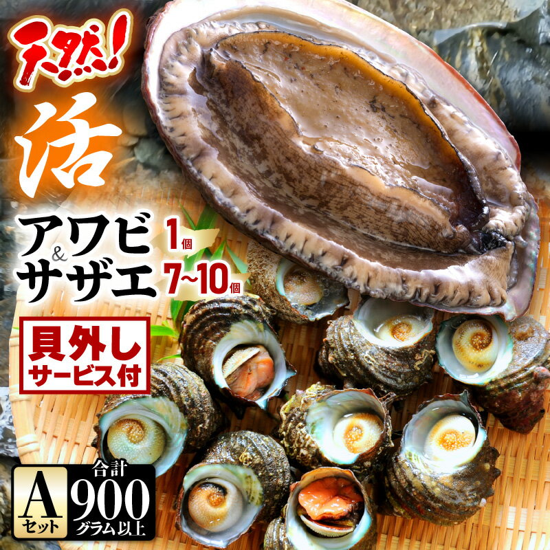 【ふるさと納税】【期間限定】天然！活アワビ ＆ 活サザエ セットA(貝はずしサービス付き)【入手困難 産地直送 刺身 お造り おせち バター焼き BBQ あわび 鮑 サザエ さざえ 貝 海鮮 肴 つまみ 冷凍 福井】 [m21-b007_02]