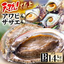 【ふるさと納税】【先行予約】【期間限定】天然!極上 アワビ & サザエ セットB【2025年6月中旬以降順次発送予定】【入手困難 産地直送 刺身 お造り おせち...