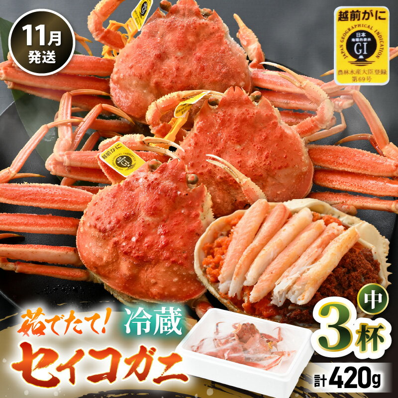 [先行予約][冷蔵]旬のセイコガニ 中 3杯 計420g以上(茹で前)説明書付き [2025年11月上旬以降順次発送予定]食べ切数量!全て地物!天然! ズワイガニメス せいこがに
