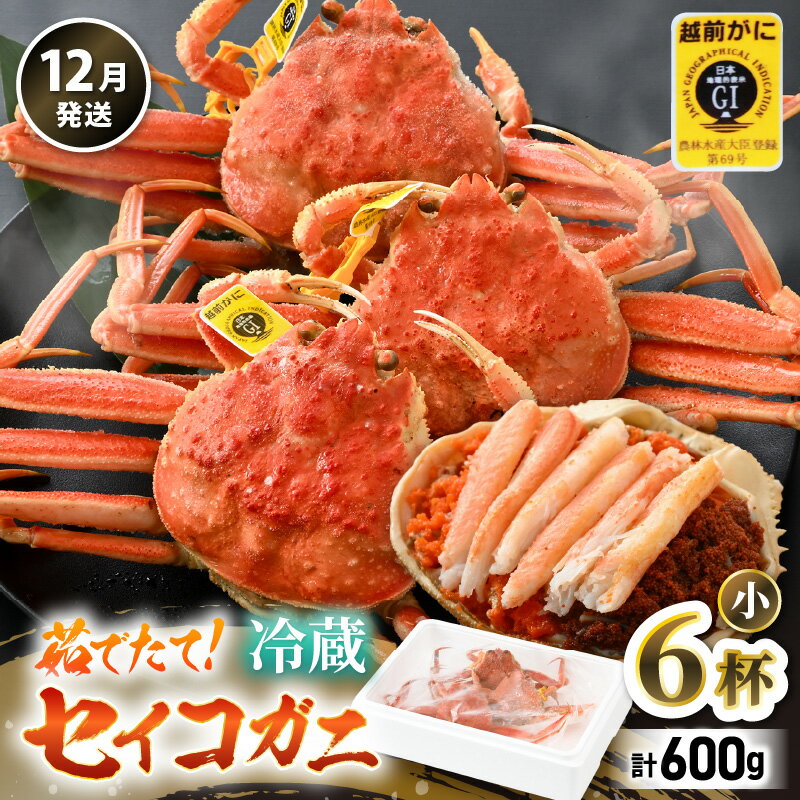 [先行予約][冷蔵]旬のセイコガニ 小 6杯 計600g以上(茹で前)説明書付き [2025年12月上旬以降順次発送予定] 食べ切数量!全て地物!天然! ズワイガニメス せいこがに