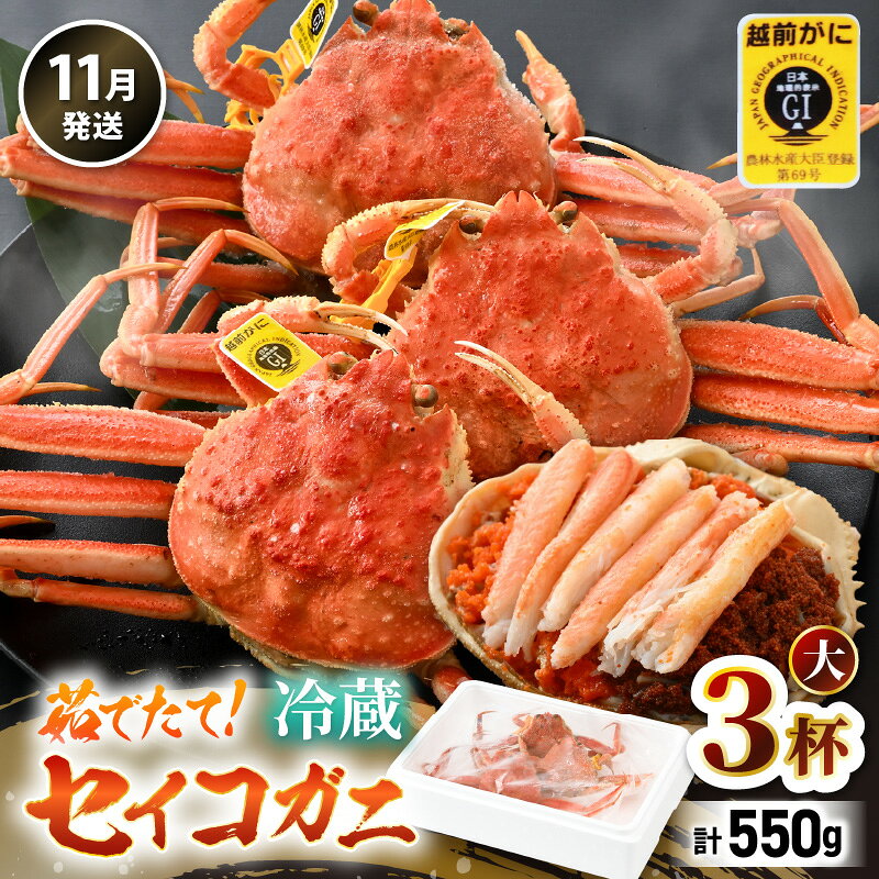 【ふるさと納税】【先行予約】【冷蔵】旬のセイコガニ 大 3杯 計550g以上（茹で前） 説明書付き 【2025年11月上旬以降順次発送予定】食べ切数量！全て地物！天然！ ズワイガニメス せいこがに