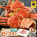 【ふるさと納税】【先行予約】【冷蔵】旬のセイコガニ 大 3杯 計550g以上(茹で前) 説明書付き 【2025年11月上旬以降順次発送予定】食べ切数量!全て地物!天然! ズワイガニメス せいこがに