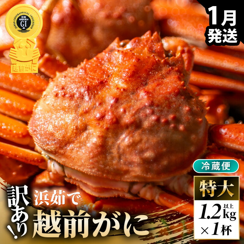 愛晃 皮はぎロール 300g（珍味 おつまみ）